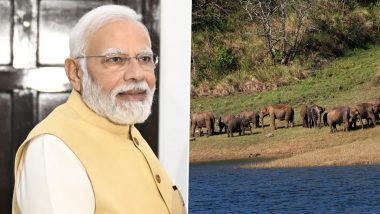 World Elephant Day 2022: PM Narendra Modi Lauds Efforts of Elephant Conservationists, Says a Large Effort Underway To Minimize Human-Animal Conflict